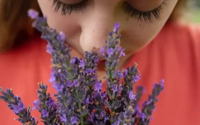 ¿Cómo los aromas ayudan a relajarte y vivir mas feliz?
